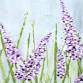 Brushes & Lushes on Canvas 6/11/26