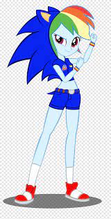 👀watch more pony life episodes: Rainbow Dash Sonic Dash Sonic Forces My Little Pony Equestria Girls Girls Dress Sonic The Hedgehog Vertebrate Png Pngegg