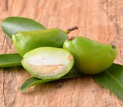 Image result for Garcinia pachyclada