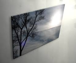 Unser konfigurator macht es ihnen dabei möglich, ihr leinwandbild auf unterschiedlichste art und weise für sich zu individualisieren. Leinwandbild Baum Sonne Wolken