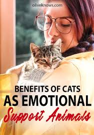 Benefits Of Cats As Emotional Support Animals In 2020 Emotional Support Animal Support Animal Emotional Support