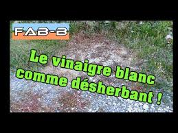 Je Teste Le Desherbage Au Vinaigre Youtube