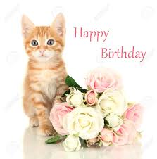 Choisissez votre carte virtuelle gratuite pour un anniversaire · photo · gâteau d'anniversaire avec des bougies multicolores. Carte D Anniversaire Animee Facebook Awesome Carte Anniversaire Chat Gratuite Carte Flowers Toxic To Cats Happy Birthday Cat Cat Flowers