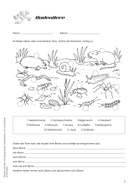 Check spelling or type a new query. 29 Wildtiere Ideen Wilde Tiere Tiere Tierspuren