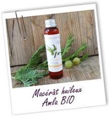 Macerat Huileux Amla Bio Aroma Zone Macerat Huileux Bio Huile Amla