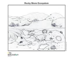 When we watch movies and cartoons, we usually. Coloring Pages National Geographic Society