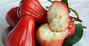 Pomarrosa Sureste De Asia America Tropical Y Antillas Apple Roses Rose Apple Fruit Fruit Health Benefits