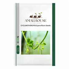 Image result for Cyclantheropsis parviflora