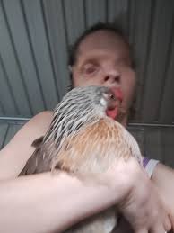 Morning chaos with chicken coop and water spill