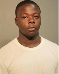 ᐅ Illinois Criminal Records 2009-2026