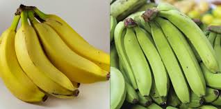 Pisang cavendish banyak dikembang biakan menggunakan metode kultur jaringan. Bukan Soal Mentah Atau Matang Ini 6 Beda Kandungan Dalam Pisang Hijau Dan Pisang Kuning