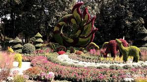 We did not find results for: Forest Park Celebrates The Chrysanthemum Shine News