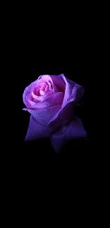 Wallpapers Samsung Galaxy S8 Pack 16 Wallsphone Fond D Ecran Iphone Fleur Fond Ecran Samsung Photo Magnifique