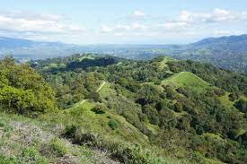 Given the biodiversity in the area, guests will have the opportunity to enjoy different fauna and flora from season to season. Lafayette Ridge Trail To Russell Peak Briones Regional Park Ca Live And Let Hike