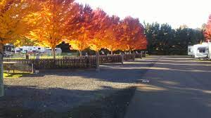 Beautiful, peaceful rv park on the south umpqua river that. Rising River Rv Park Roseburg Oregon