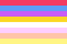 #my flags #aesthetic pride flags #desert #patterns #warm colours. Sexuality Flags Lgbt Symbols The Ultimate Pride Guide
