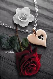 Pin On S