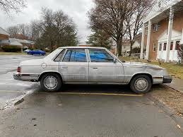 Image result for Radiant Silver 1984 Plymouth