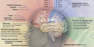 Report of a new complication. Scienze Infermieristiche E Corso Oss Dierreform Neurologia Lezioni N 35 E 36 Modulo 14 Daddydoctorgym Com