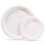 sugar bagasse plates from grefusion.com