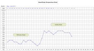 Interpret Your Basal Body Temperature Chart Family