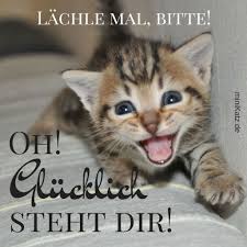Du gibst mir soviel ohne es zu merken, du bist in den dunkelsten tagen für mich da, steht vor mir und wenn ich dir sage, dass du für mich alles bist, dann sage ich das nicht nur so, sondern meine es. Zitate Und Spruche Glucklich Steht Dir Minikatz