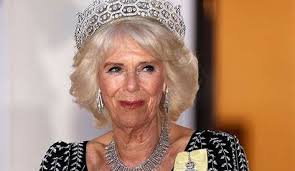 The Ultimate Guide To Picking The Perfect Camilla