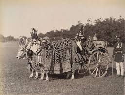 Golden carriage in Baroda in the 1890s ...