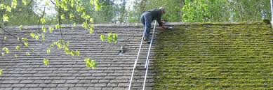 Both moss and green and black algae grow on the shingles. How To Get Moss Off Your Roof Barry Connerty