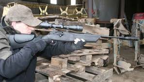 There are a lot popular the sig mpx redefined modern pistol caliber sbrs, and this asp version does no less for co2 air rifles. Co2 Power For Pest Control Bisley Country Blog