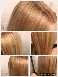 Adding the ash into it. 3. Oh Nooooo Dark Ash Blonde Over Light Beige Wella 10ng Is It Brassy Is It Swampy Green Also Hot Roots Please Any Advice Welcome Femalehairadvice