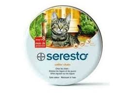 How long does it take for flea collars to start working? Seresto Chat Bayer Flea Collar In Pharmacy