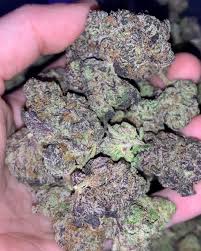 The runtz trademark owner is cookies creative consulting & promotions, llc, the same outfit behind the cookies dispensary, strain, and product line. Strain Review Pink Runtz Runtz Pheno The Highest Critic
