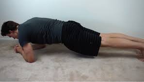 30 Day Plank Challenge Plank For 5 Minutes On Last Day