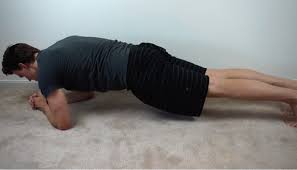 30 day plank challenge plank for 5 minutes on last day