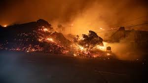 Los Angeles fires: Jamie Lee Curtis ...