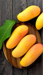 If you like to try it yourself, save the pod from the mango fruit. Maha Chanook Mango Tree