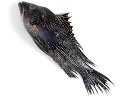 They live alone at the bottom of the ocean, usually in rocky areas near solid structures, including pilings and wrecks, and they eat molluscs, crabs, and other fish. A Guide To Buying And Cooking Sea Bass Recipes And Cooking Food Network Recipes Dinners And Easy Meal Ideas Food Network