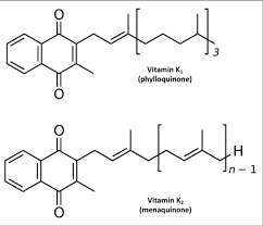 Serum total osteocalcin level was slightly. The Ultimate Vitamin K2 Resource