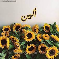 صور مكتوب عليها اسم يوسف. ØµÙˆØ± Ø§Ø³Ù… Ø£Ù„ÙŠÙ† Ù‚Ø§Ù…ÙˆØ³ Ø§Ù„Ø£Ø³Ù…Ø§Ø¡ Ùˆ Ø§Ù„Ù…Ø¹Ø§Ù†ÙŠ