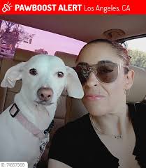 Help find lost baby Indie in Reche Canyon