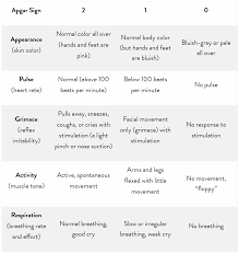 Image result for APGAR Score