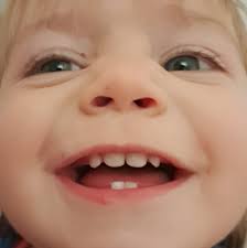 Anyone know how to contact wsu tech? I've been trying to for a few weeks,  tried both numbers found