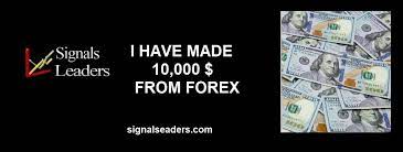 I Have Made 10 000 Forex Trading Forex Forex Trading Training