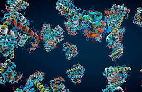 Machine learning cracked the protein-folding problem and won the 2024 Nobel  Prize in chemistry