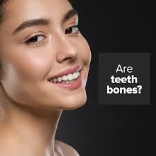 𝐖𝐎𝐎 𝐃𝐄𝐍𝐓𝐀𝐋 (@w_dentistry) • Instagram photos and videos