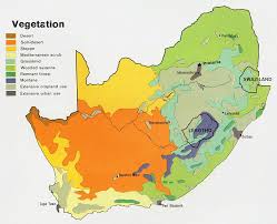 Vector eps illustrator maps of vegetation and landuse of africa sort by popularity sort by average rating sort by latest sort by price: Maps Of South Africa