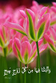 Surat al baqarah full by sheikh mishary. Ùˆ Ø£ Ù† Ø¨ Øª Ù† Ø§ Ù ÙŠÙ‡ Ø§ Ù… Ù† Ùƒ Ù„ Ø² Ùˆ Ø¬ Ø¨ Ù‡ ÙŠØ¬ Ø³ÙˆØ±Ø© Ù‚ 7 We Have Made To Grow Therein Of All Beautiful Kinds Surat Flowers Amazing Flowers Beautiful Flowers