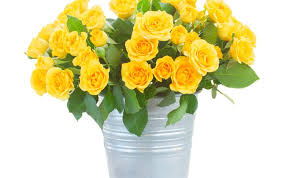 Wir bei regionsflorist haben die schönsten sträuße, die aus verschiedenen. Wallpapers Blumen Rosen Blumenstrauss Weisser Hintergrund Gelb Fur Desktop 230011