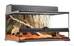 Desert Snake Tank Google Search Terrarium Reptile Habitat Bearded Dragon
